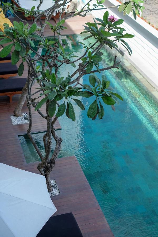 Hostel Dip & Doze Living Canggu Zewnętrze zdjęcie